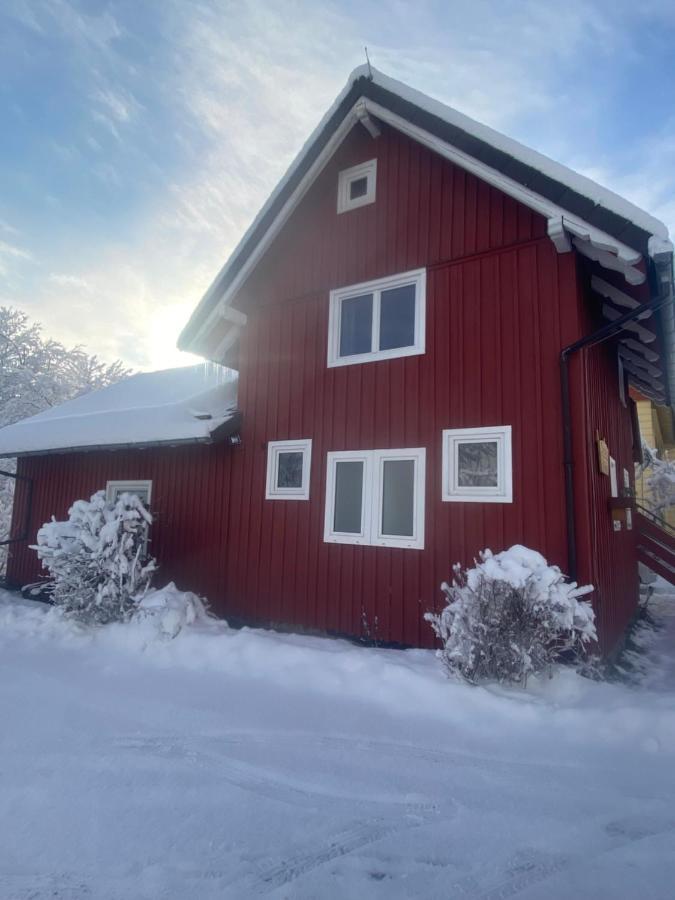 Villa Bahni´s Hütte Sankt Andreasberg Exterior foto